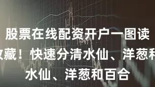 股票在线配资开户一图读懂 | 收藏！快速分清水仙、洋葱和百合