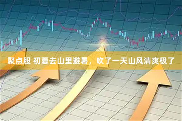 聚点股 初夏去山里避暑，吹了一天山风清爽极了