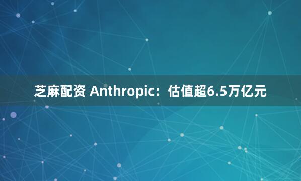 芝麻配资 Anthropic：估值超6.5万亿元