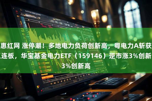 惠红网 涨停潮！多地电力负荷创新高，粤电力A斩获三连板，华宝基金电力ETF（159146）逆市涨3%创新高
