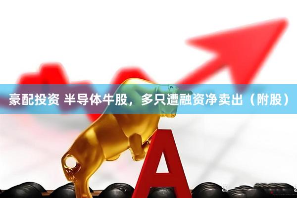 豪配投资 半导体牛股，多只遭融资净卖出（附股）